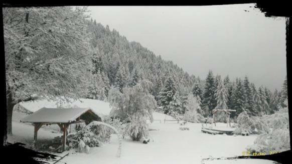 B&B Lo Scoiattolo Nebbiu Exterior photo